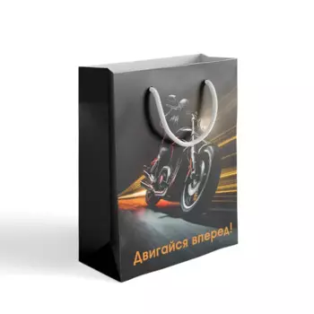 Пакет подарочный «Двигайся вперед» 30x40 см цвет разноцветный