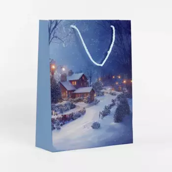 Пакет подарочный «Узоры» 36x26 см цвет голубой