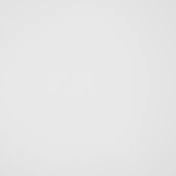 Стеновая панель ПВХ Белый глянец 3000x250x5 мм 0.75 м