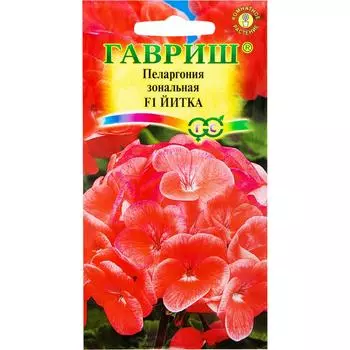 Пеларгония Йитка F1 зональная 4 шт