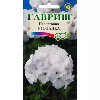 Пеларгония зональная «Бланка» F1, 4 шт.