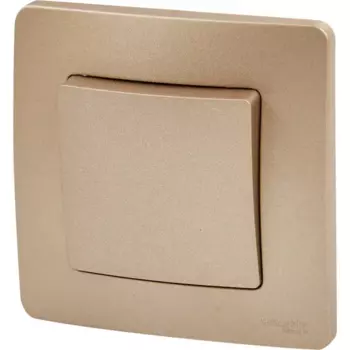 Переключатель встраиваемый Systeme Electric Blanca 1 клавиша цвет титановый