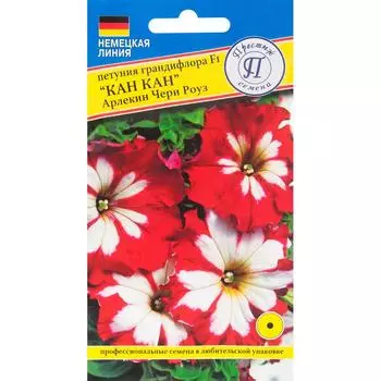 Петуния «Кан-кан Арлекин Черри Роуз» F1