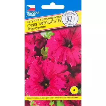 Петуния крупноцветковая «Афродита» пурпурная F1