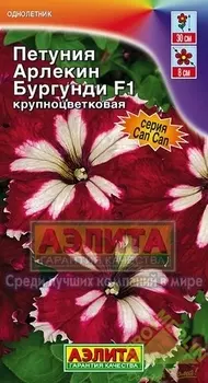 Петуния крупноцветковая «Арлекин Бургунди» F1