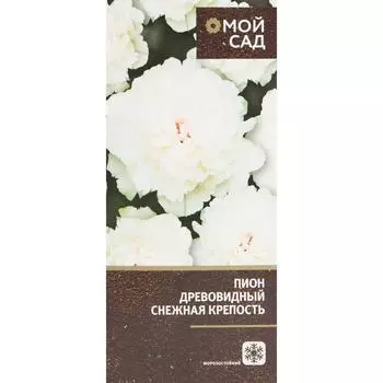 Пион древовидный привитый Снежная крепость в тубе