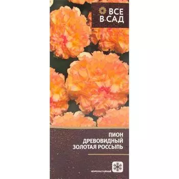 Пион древовидный привитый Золотая россыпь в тубе