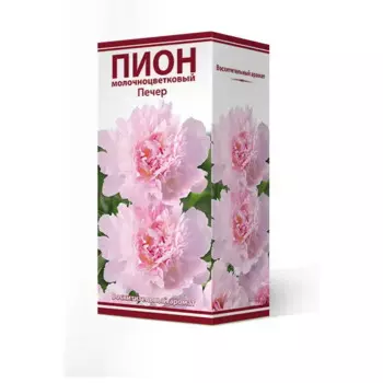 Пион молочноцветковый травянистый Печер 2/3