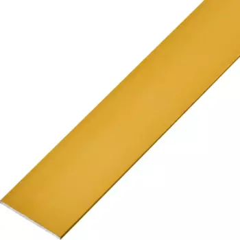Пластина 30x2x1000 мм алюминий цвет золотой