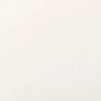 Пленка самоклеящаяся Дерево 0.45x8 м цвет белый 100 мкр