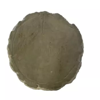 Плитка садовая Пенек камень цвет серебристый 470x470x50 мм