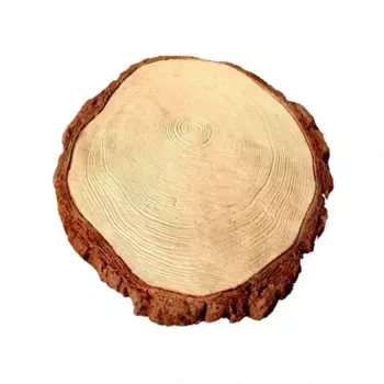 Плитка тротуарная Спил диаметр 200 мм