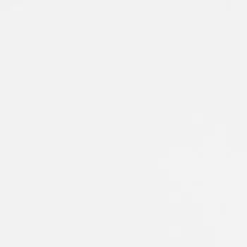 Плёнка самоклеящаяся 334 8041 Сильва 0.67x1.5 м цвет мутно-белый