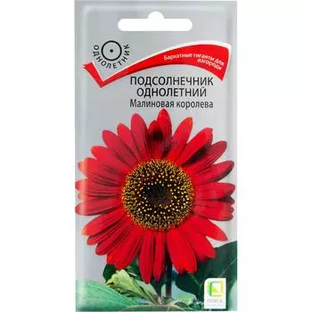 Подсолнечник однолетний «Малиновая королева», 6 г