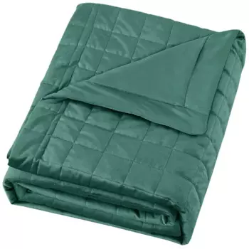 Покрывало Etna 240x220 см велюр цвет темно-зеленый