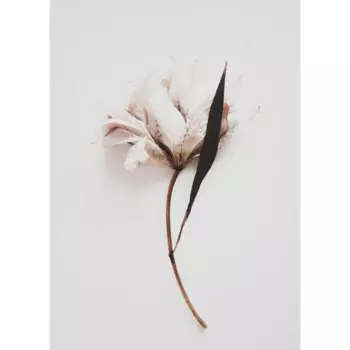 Постер Антика №5 25x35 см