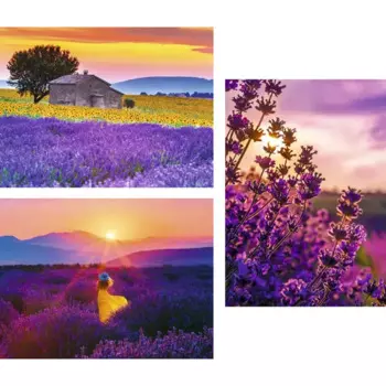 Постер Арт Дизайн В оттенках счастья 30x40 см 3 шт