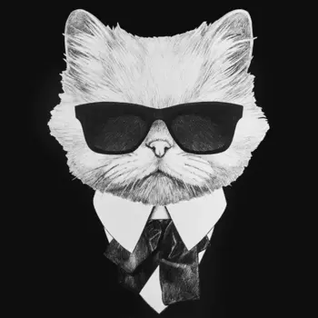 Постер Кот в смокинге 30x30 см