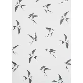 Постер «Ласточки» 21x29.7 см