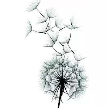 Постер «Легкость» 30x40 см