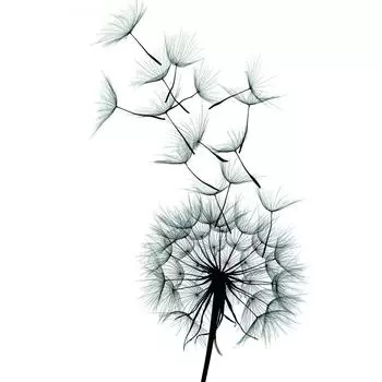 Постер «Лёгкость» 21x29.7 см