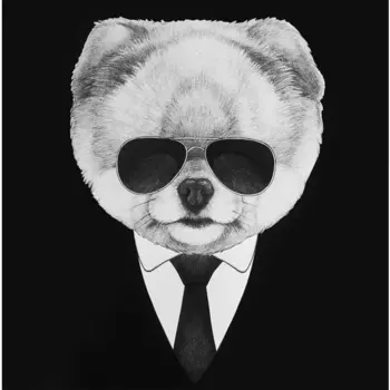 Постер Шпиц в смокинге 30x30 см