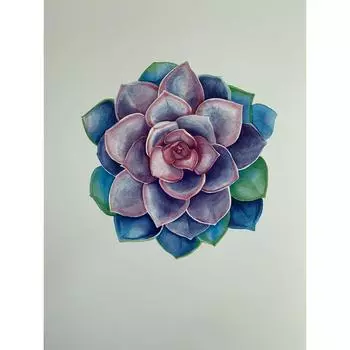 Постер «Суккулент» 21x29.7 см