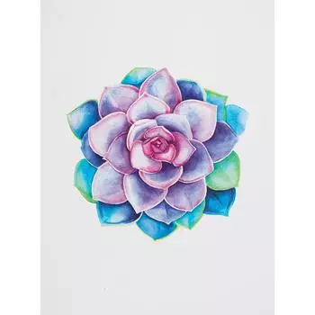Постер "Суккулент" бумага 30Х40 см