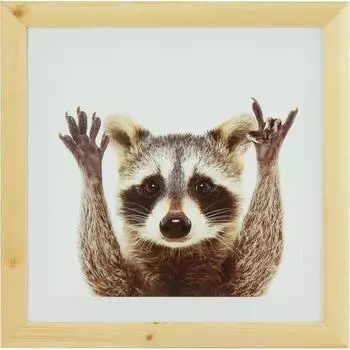 Постер в раме 40x40 см Енот