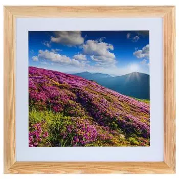 Постер в раме 40х40 см «Горные цветы»