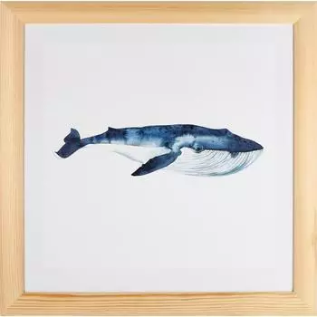 Постер в раме 40х40 см «Кит»