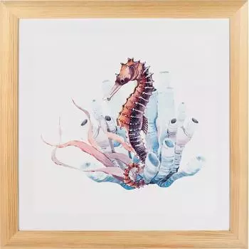 Постер в раме 40х40 см «Морской конек»