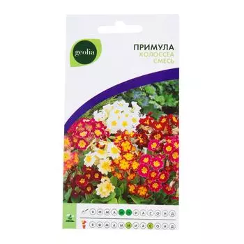 Примула Geolia «Колоссеа» смесь окрасок