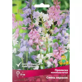 Пролеска колокольчатая микс луковица 7/8, 10 шт.