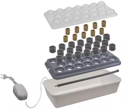 Проращиватель Здоровья клад «Чудо грядка»