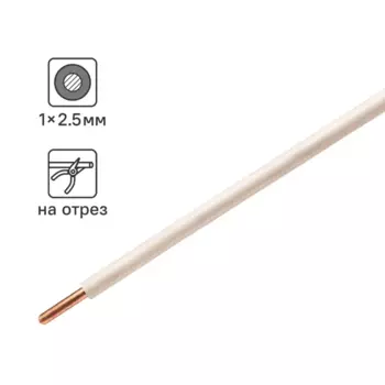 Провод Камкабель ПУВ 1x2.5 на отрез ГОСТ цвет белый