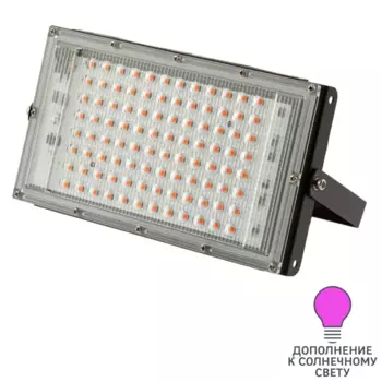 Прожектор светодиодный для растений Эра Fito 80 Вт красно-синий спектр розовый свет