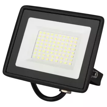 Прожектор светодиодный уличный ЭРА LPR-026-0-65K-050 50Вт 6500К 4000лм IP65