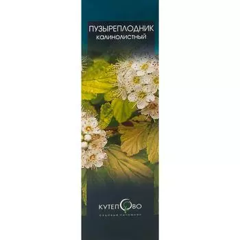 Пузыреплодник зеленый в коробке