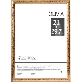 Рамка Olivia, 21x29.7 см, пластик, цвет золото