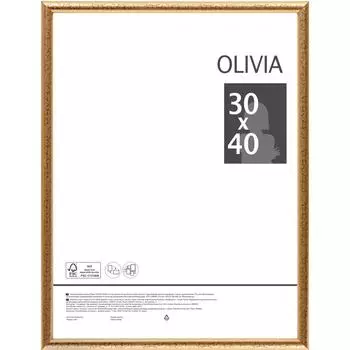 Рамка Olivia 30x40 см пластик цвет золото