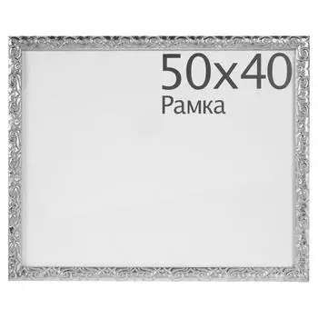 Рамка Paola 50x40 см цвет серебро