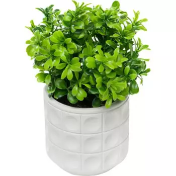 Растение искусственное в горшке 24 см цвет белый/зеленый