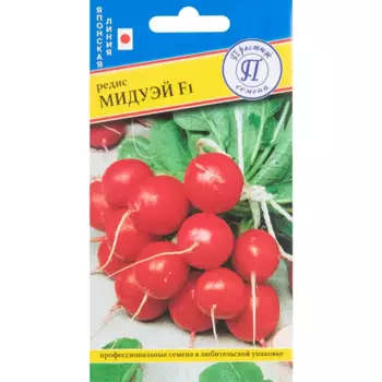 Редис Мидуэй F1 1 гр