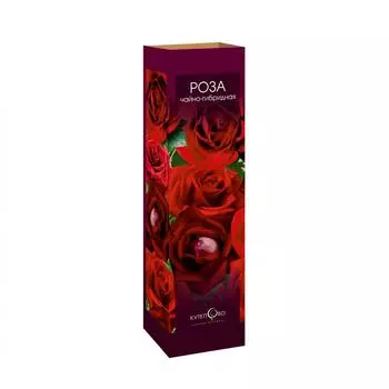 Роза чайно-гибридная Чатыр Даг в тубе