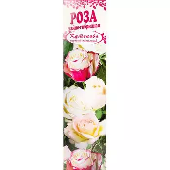 Роза чайно-гибридная «Дабл Дилайт» в коробке