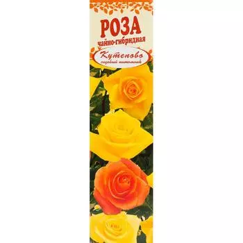 Роза чайно-гибридная «Ландорра» в коробке