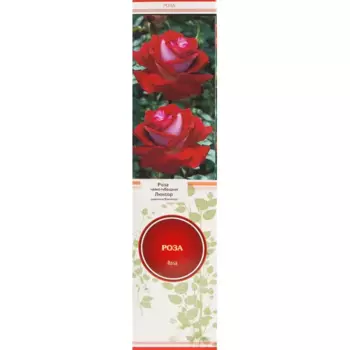 Роза чайно-гибридная Люксор в тубе Поиск Инвест