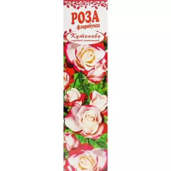 Роза Флорибунда «Шнеевихтен» в коробке