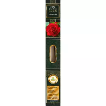 Роза флорибунда штамбовая Оптима Ред h100 см